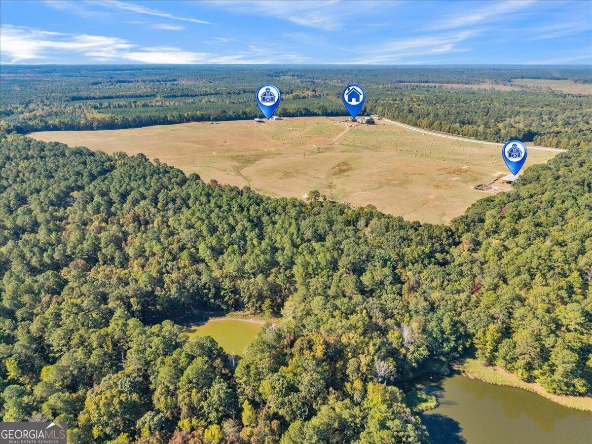 482 Barnett Road Crawfordville - Photo 61
