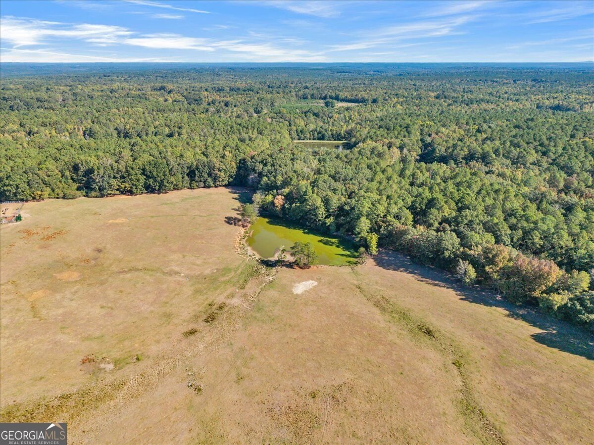 482 Barnett Road Crawfordville - Photo 81