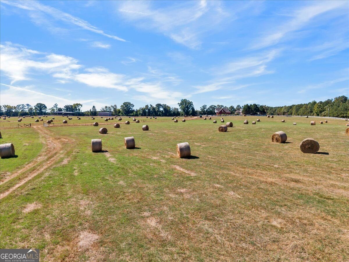 482 Barnett Road Crawfordville - Photo 91
