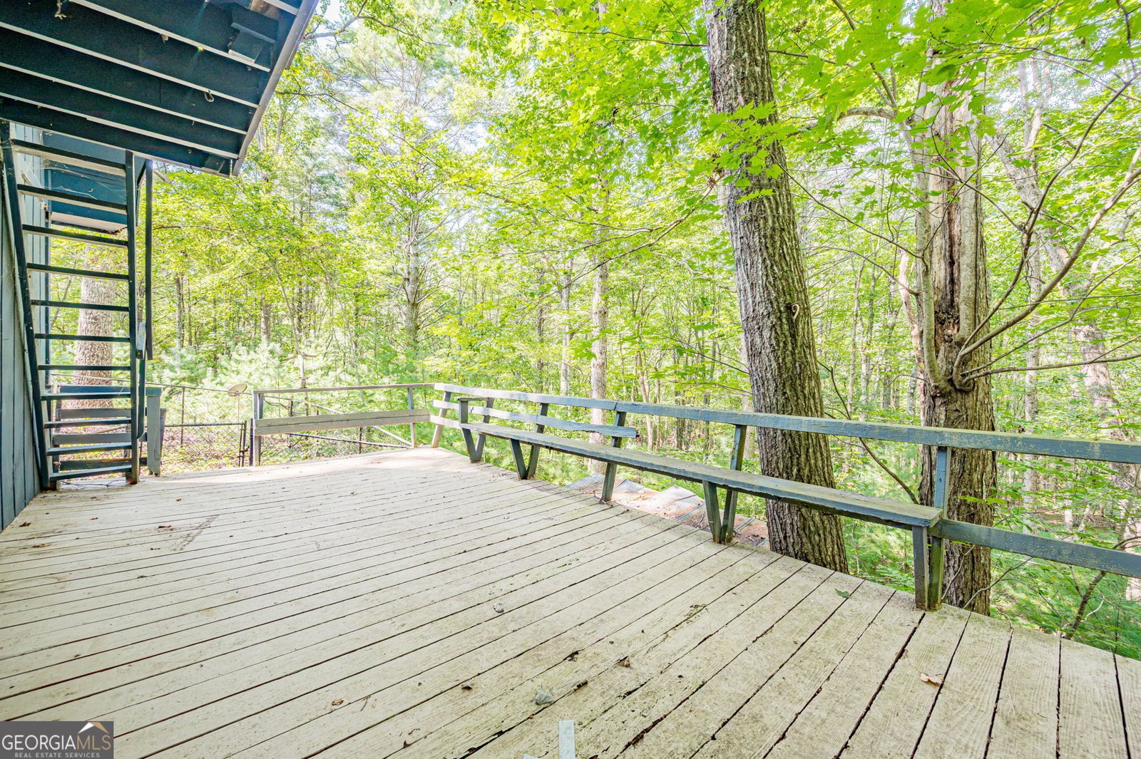 8624 Old Dial Road Blue Ridge - Photo 32
