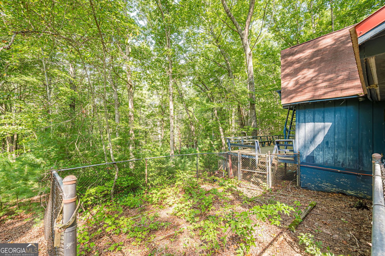 8624 Old Dial Road Blue Ridge - Photo 35