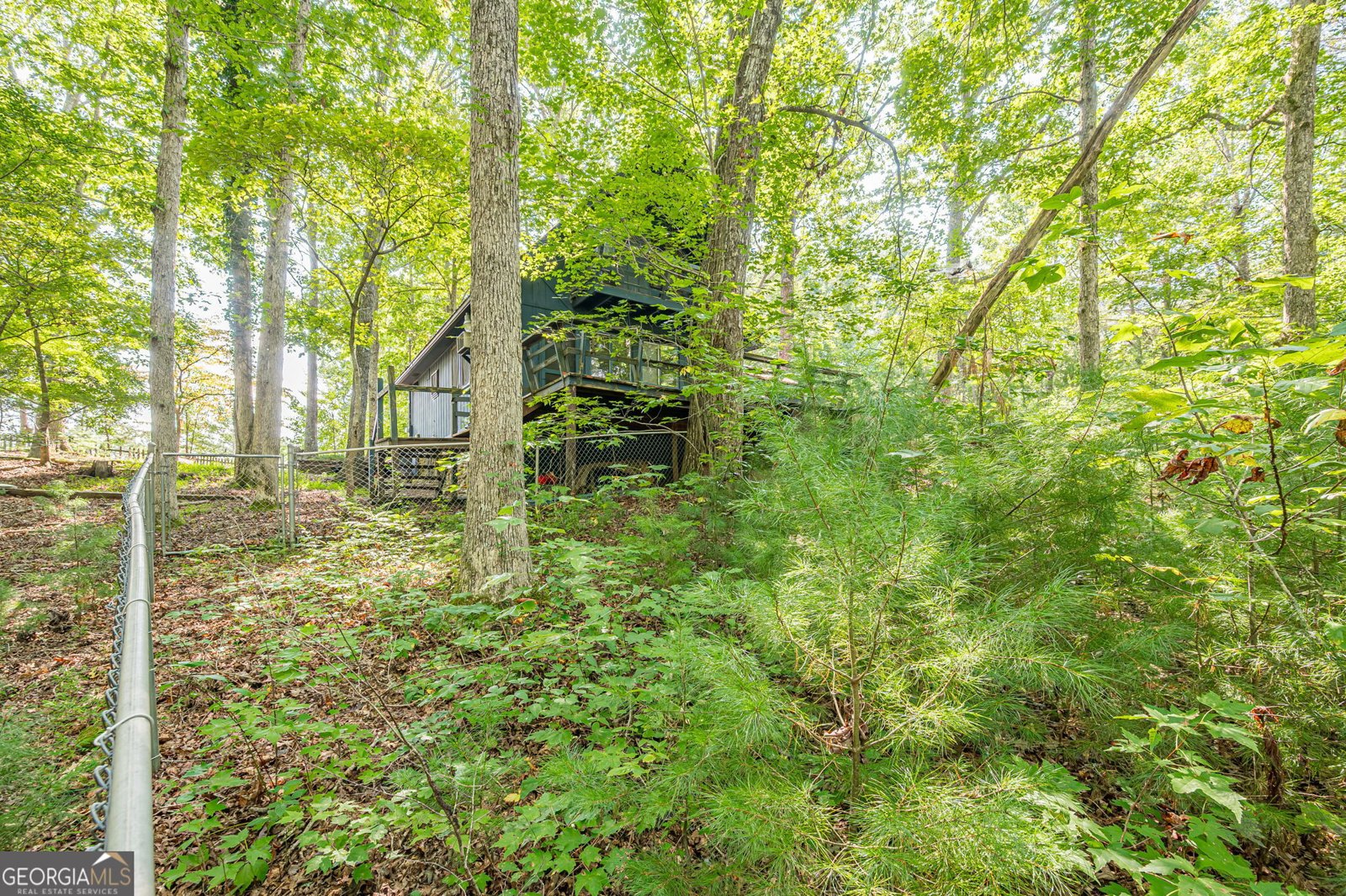 8624 Old Dial Road Blue Ridge - Photo 37