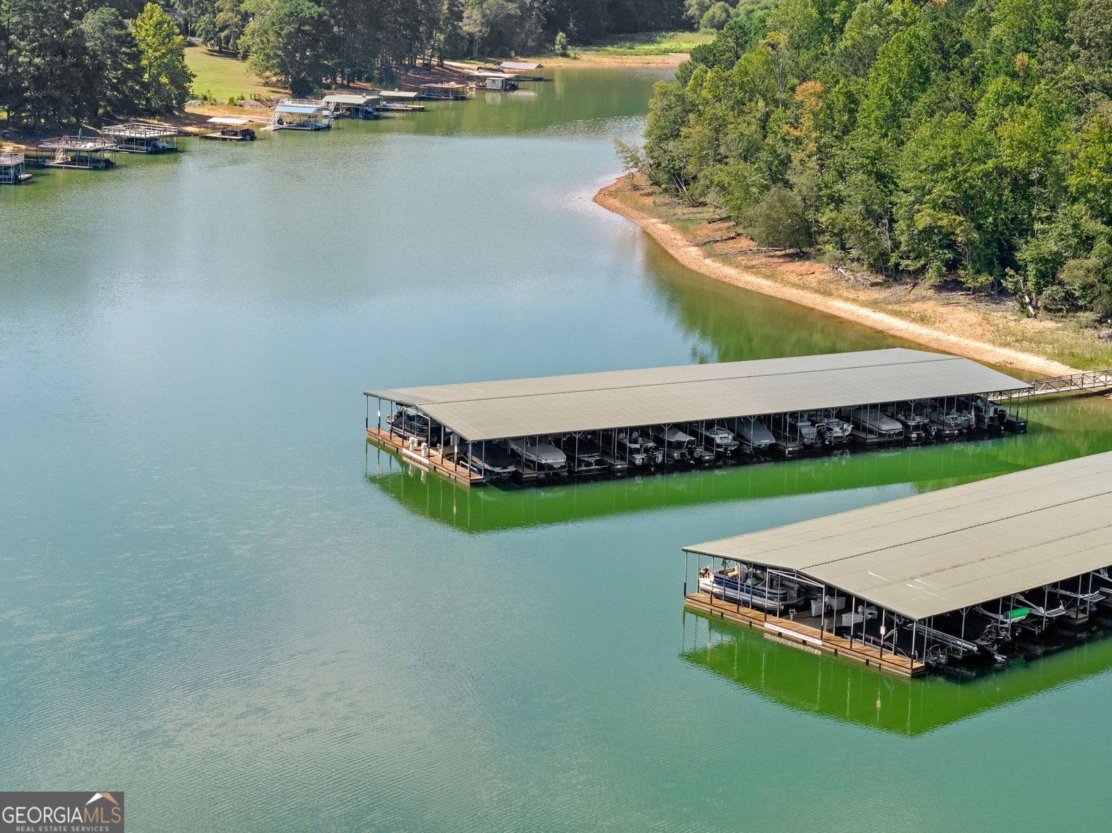 34 Deepwater Court Dawsonville - Photo 94