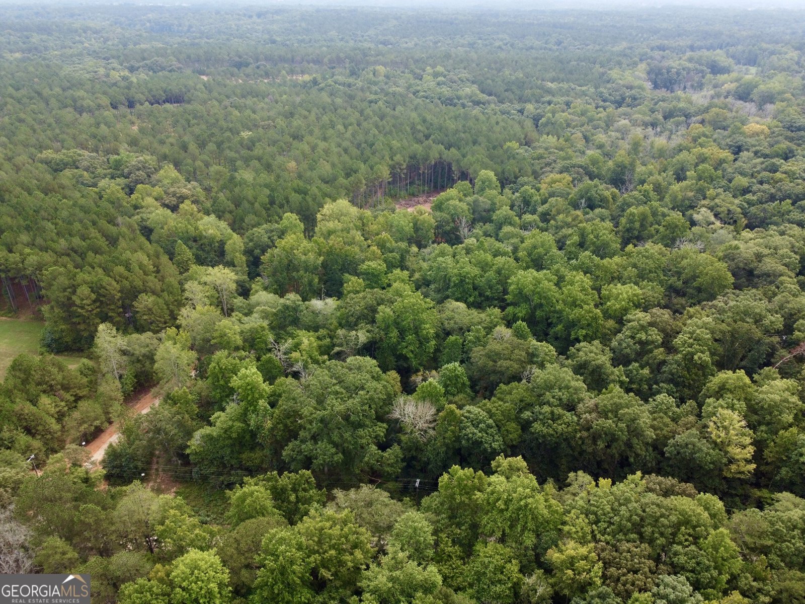 2660 Indian Creek Road Madison - Photo 14