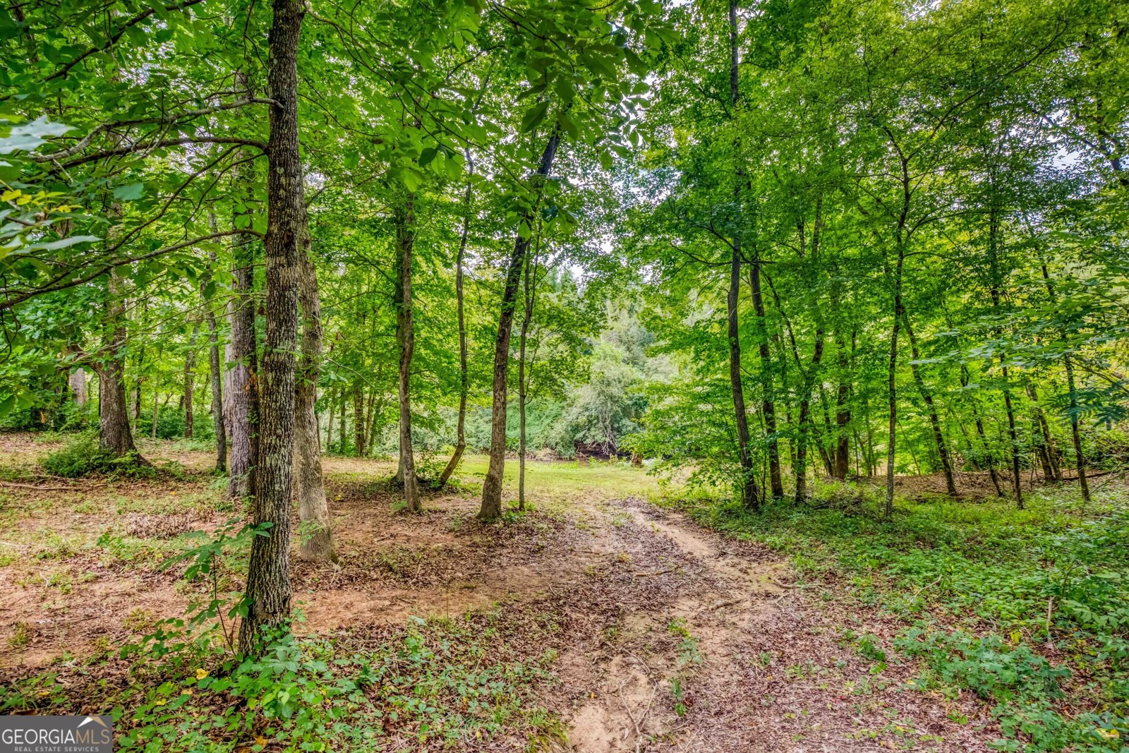 265 Riverbrooke Trail Covington - Photo 43
