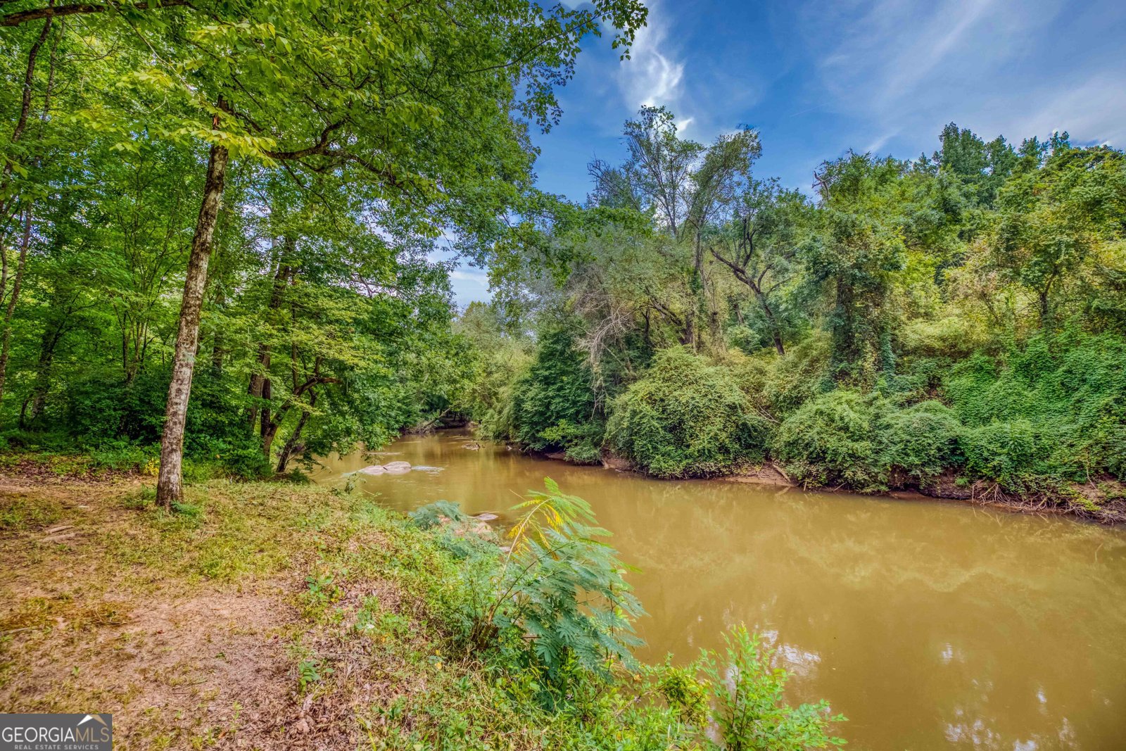 265 Riverbrooke Trail Covington - Photo 45