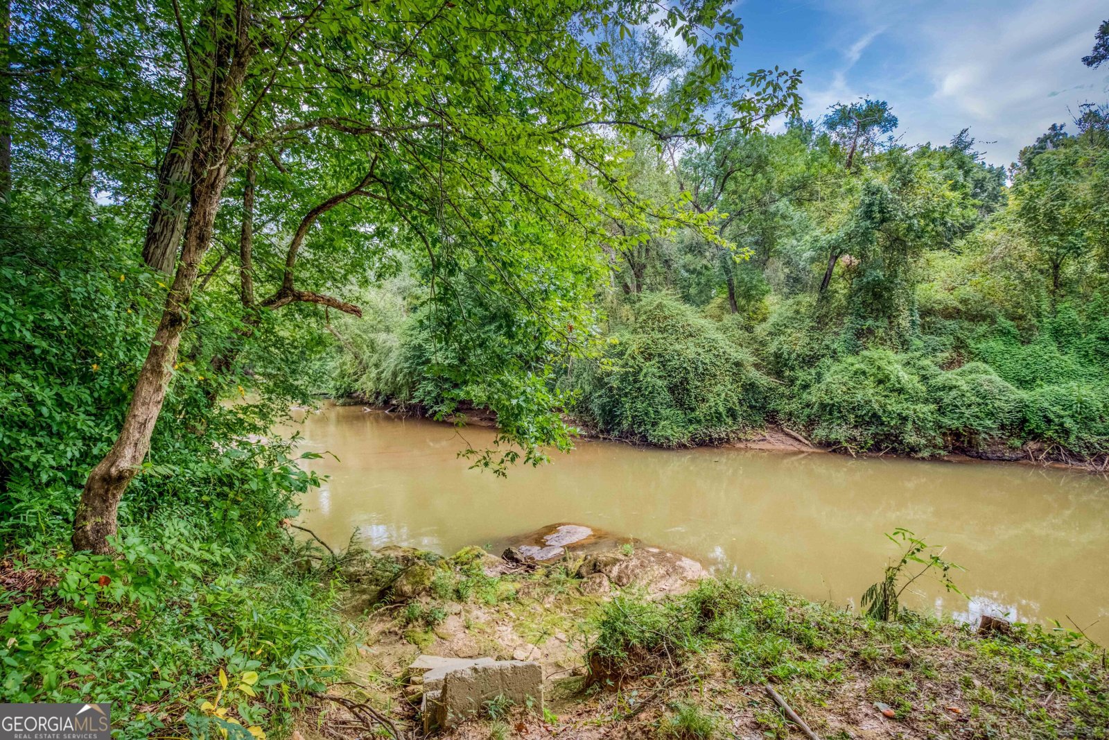 265 Riverbrooke Trail Covington - Photo 47