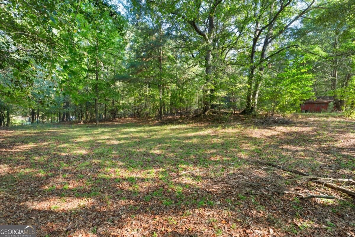 1739 Pleasant Hill Trail Lithonia - Photo 36