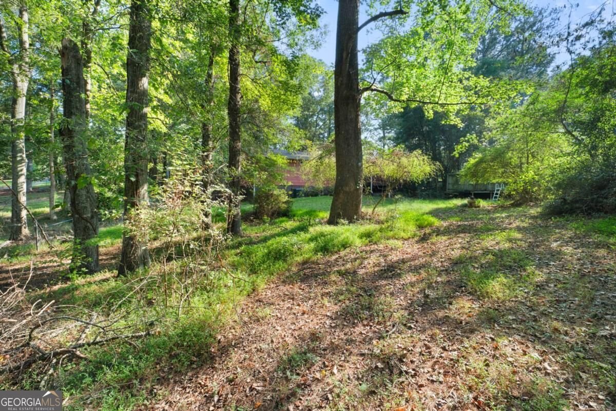 1739 Pleasant Hill Trail Lithonia - Photo 37