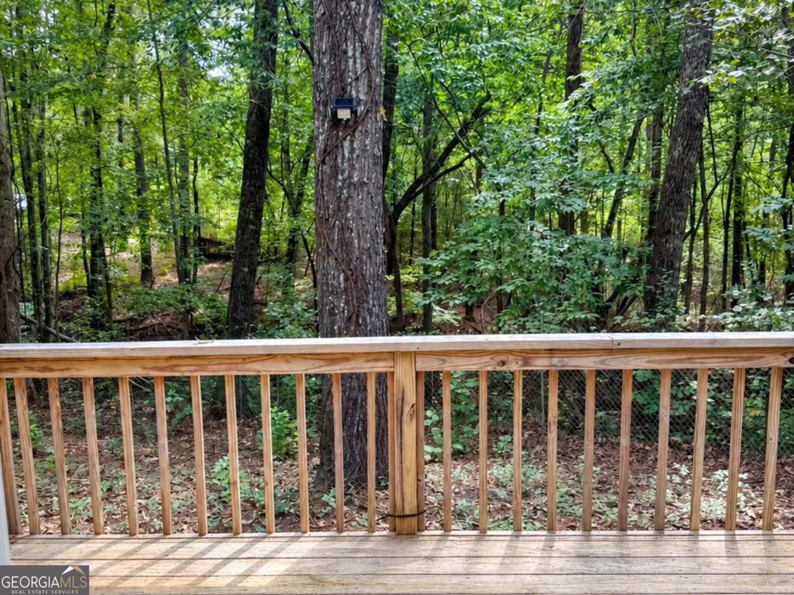 235 Big Buck Trail Jackson - Photo 11