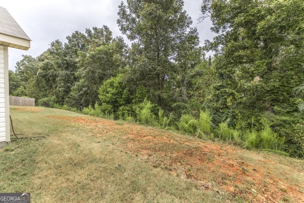 141 Red Tail Circle Byron - Photo 24