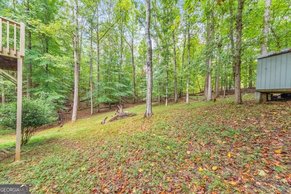 315 Magnolia Drive Canton - Photo 43