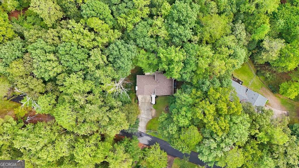 315 Magnolia Drive Canton - Photo 46