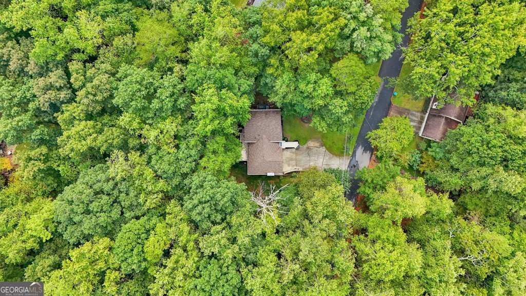 315 Magnolia Drive Canton - Photo 47
