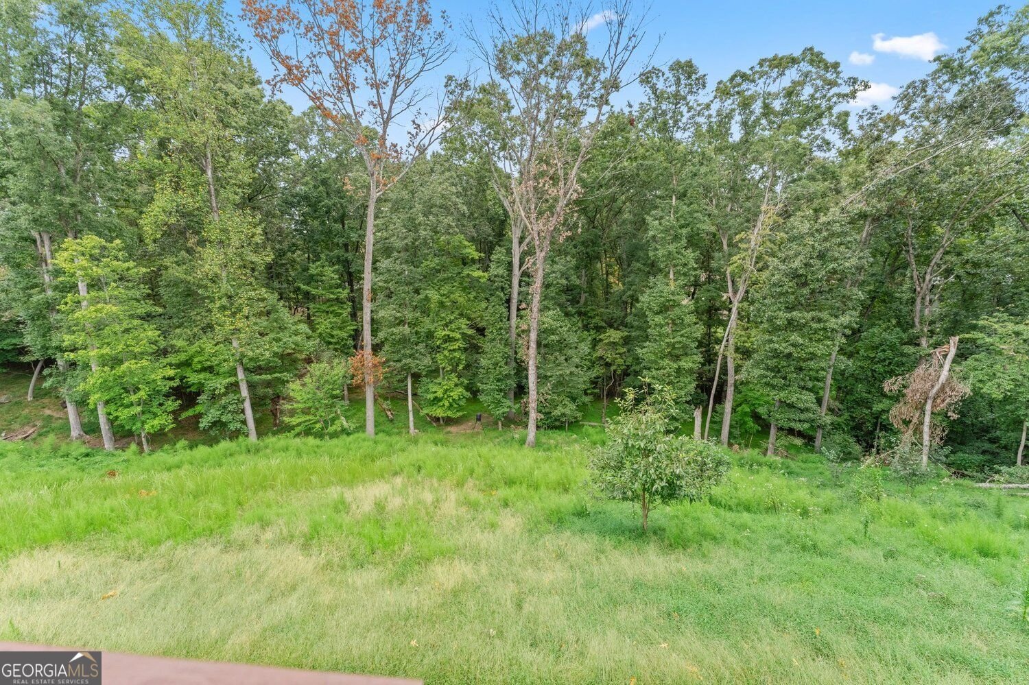 1165 Antioch Campground Road Gainesville - Photo 46