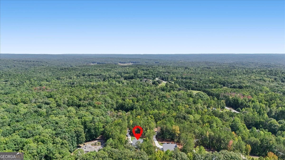 6821 Phillips Mill Road Douglasville - Photo 84