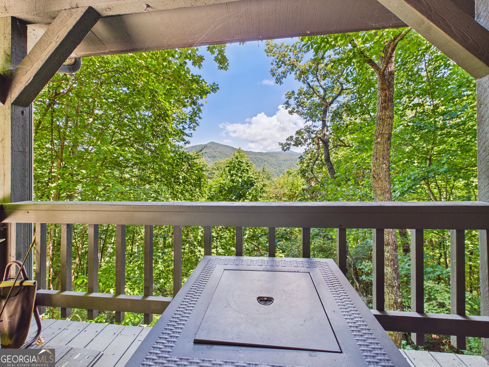445 Orchid Trail Clayton - Photo 19