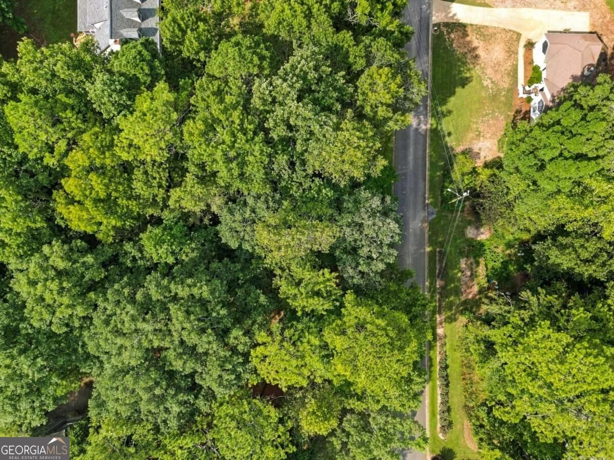 3095 Chelsea Lane Acworth - Photo 38