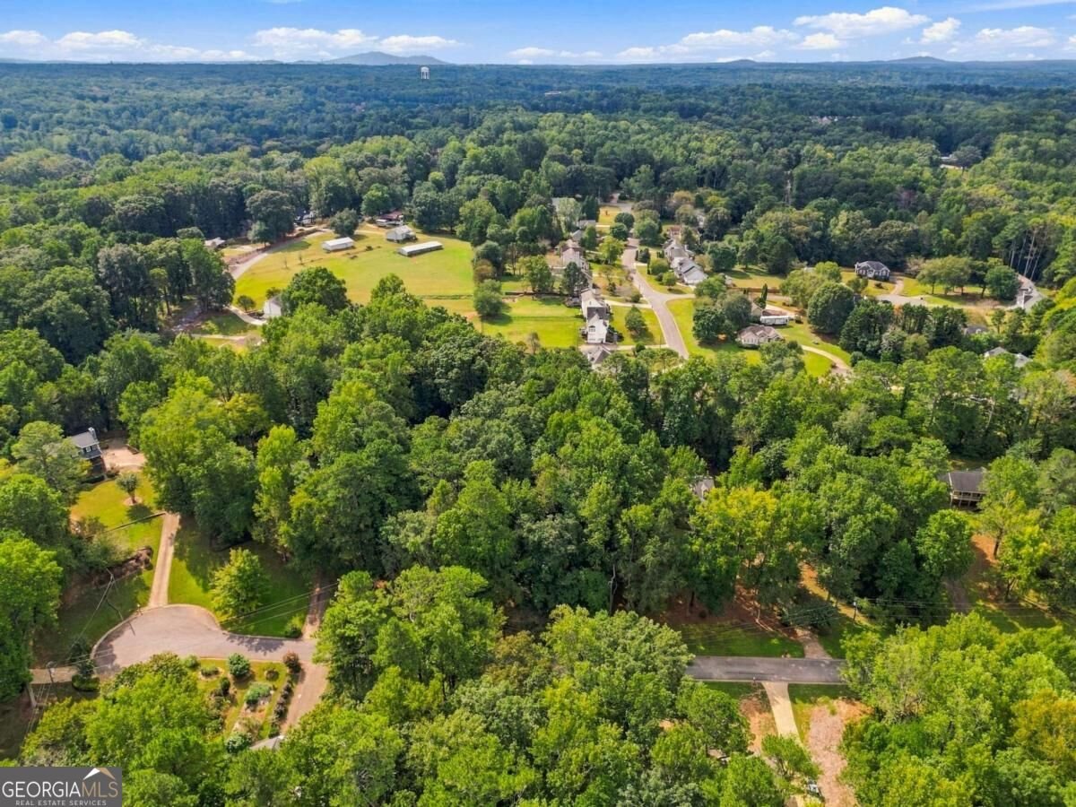3095 Chelsea Lane Acworth - Photo 39
