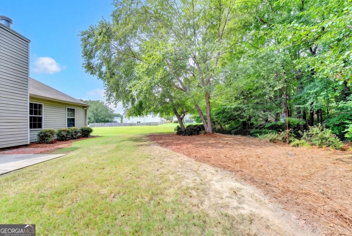 3065 Evergreen Eve Crossing Dacula - Photo 58