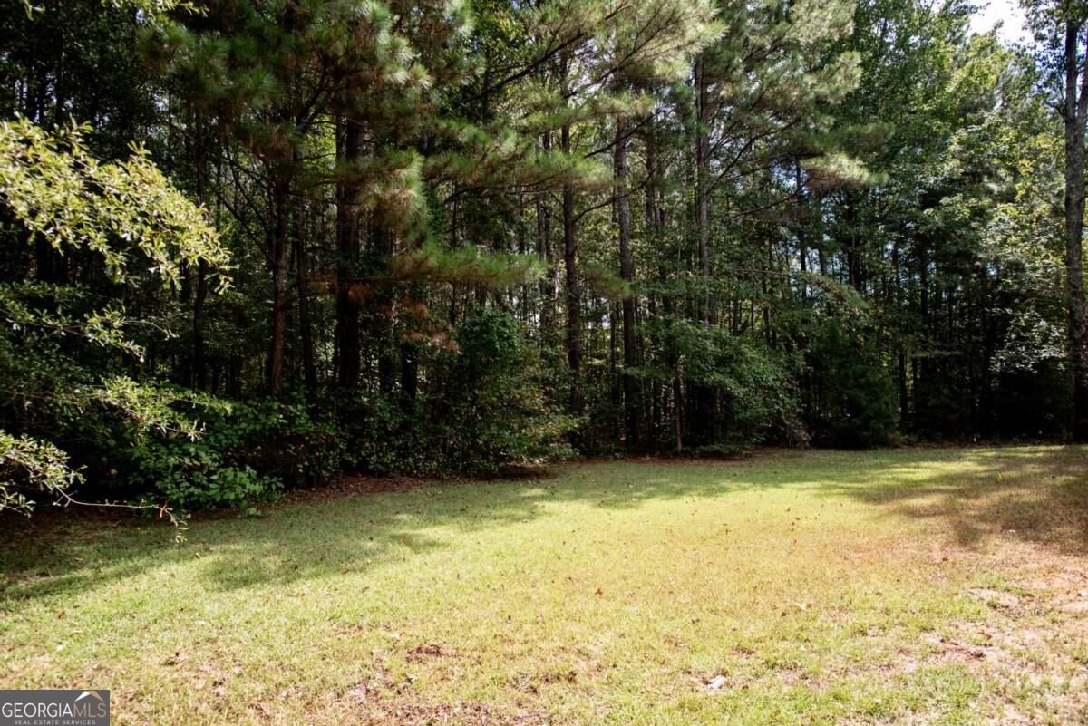 2100 Valley Shoals Lane Bishop - Photo 66