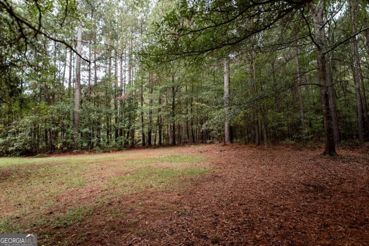 2100 Valley Shoals Lane Bishop - Photo 67