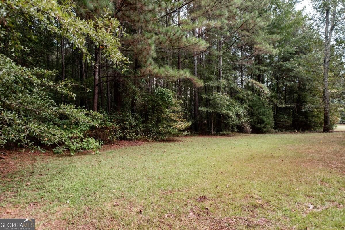 2100 Valley Shoals Lane Bishop - Photo 70