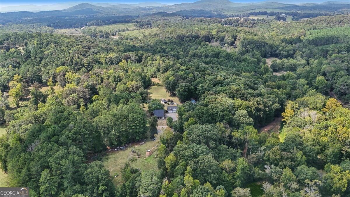 42 Lumpkin Road Cedartown - Photo 65