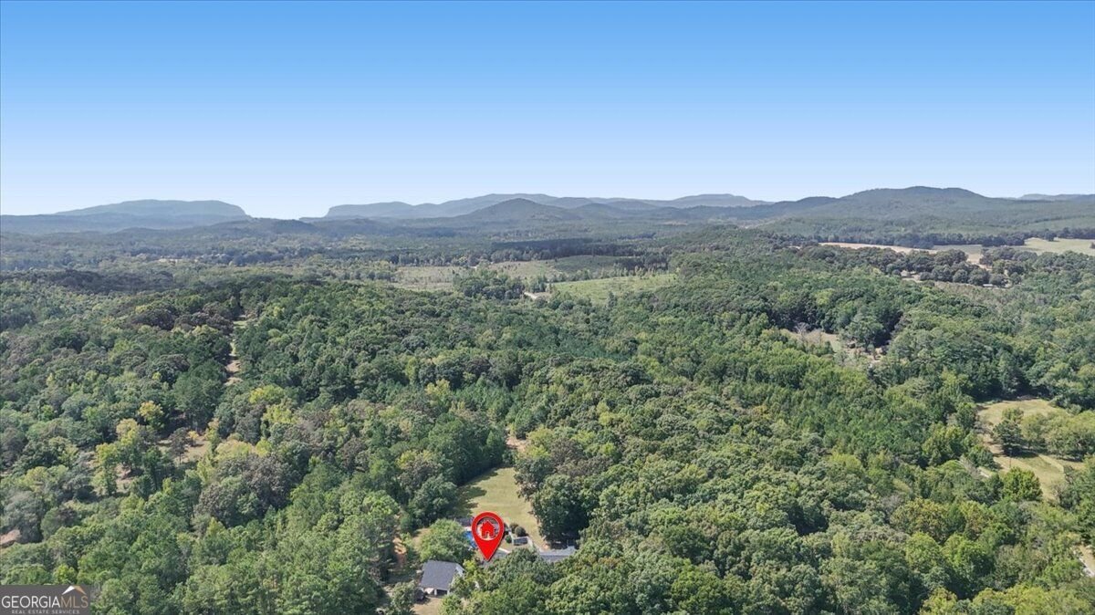 42 Lumpkin Road Cedartown - Photo 66