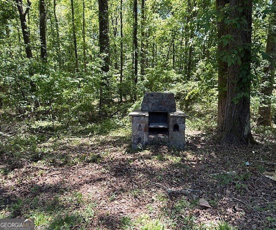 407 Highway 314 Fayetteville - Photo 15