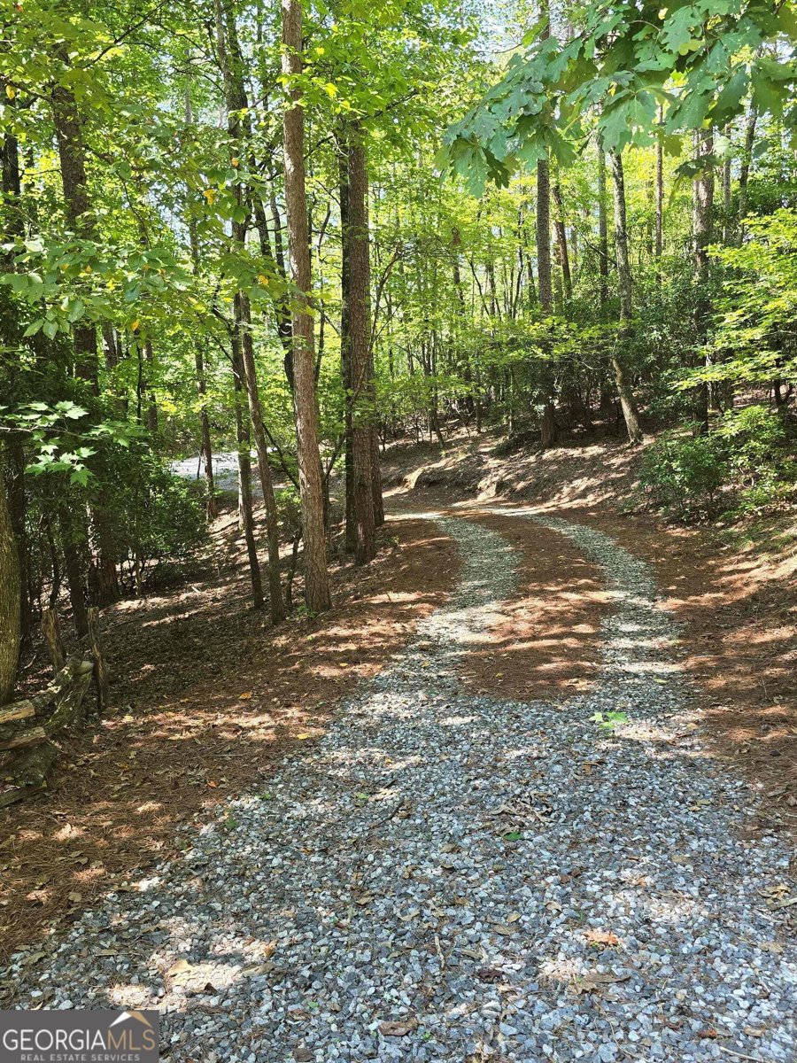 242 Hawks Nest Sautee Nacoochee - Photo 32