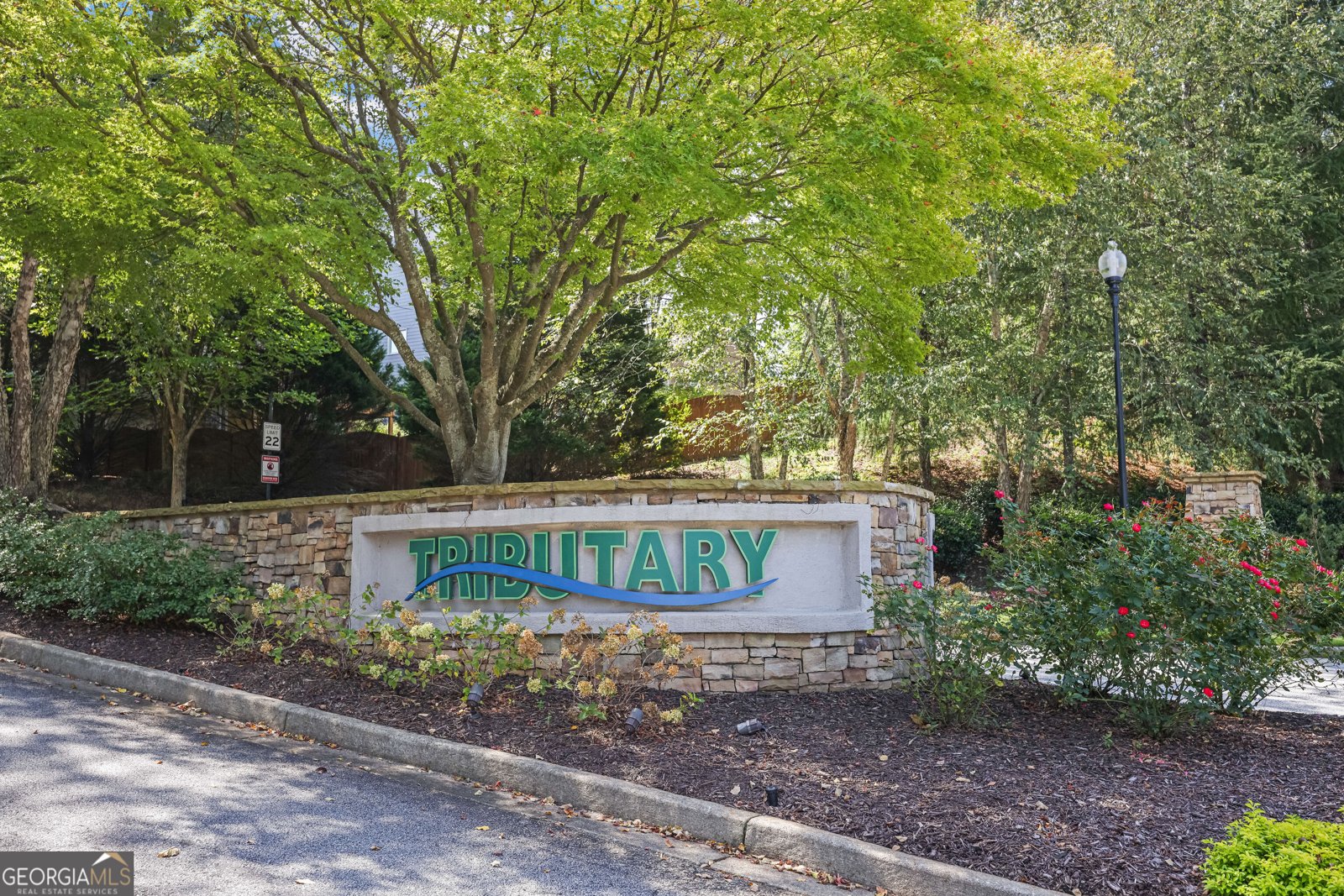 1611 Chancery Lane Lithia Springs - Photo 59