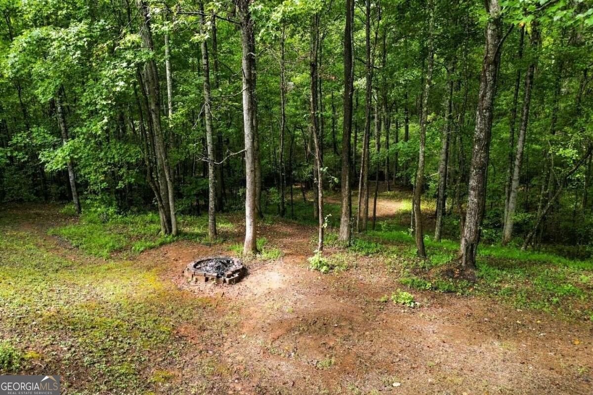 84 Barker Trail Road Cleveland - Photo 31
