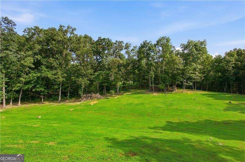 1281 Turkey Mountain Road Rome - Photo 8