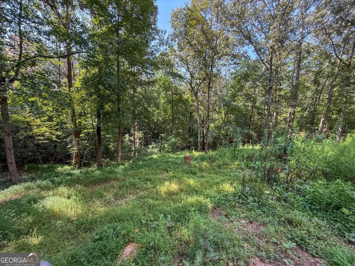 114 Funaro Lane Dahlonega - Photo 44