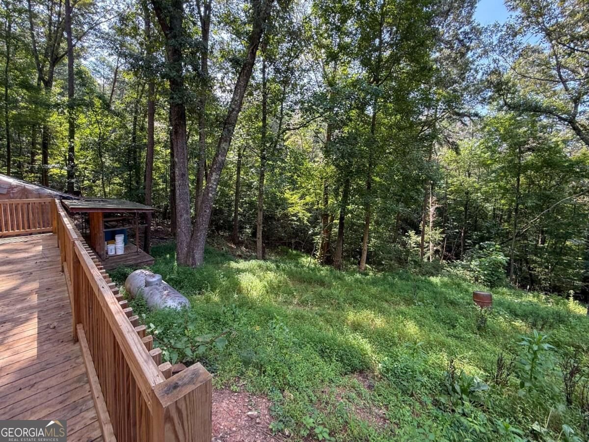 114 Funaro Lane Dahlonega - Photo 47