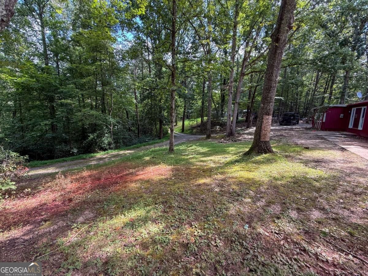 114 Funaro Lane Dahlonega - Photo 51