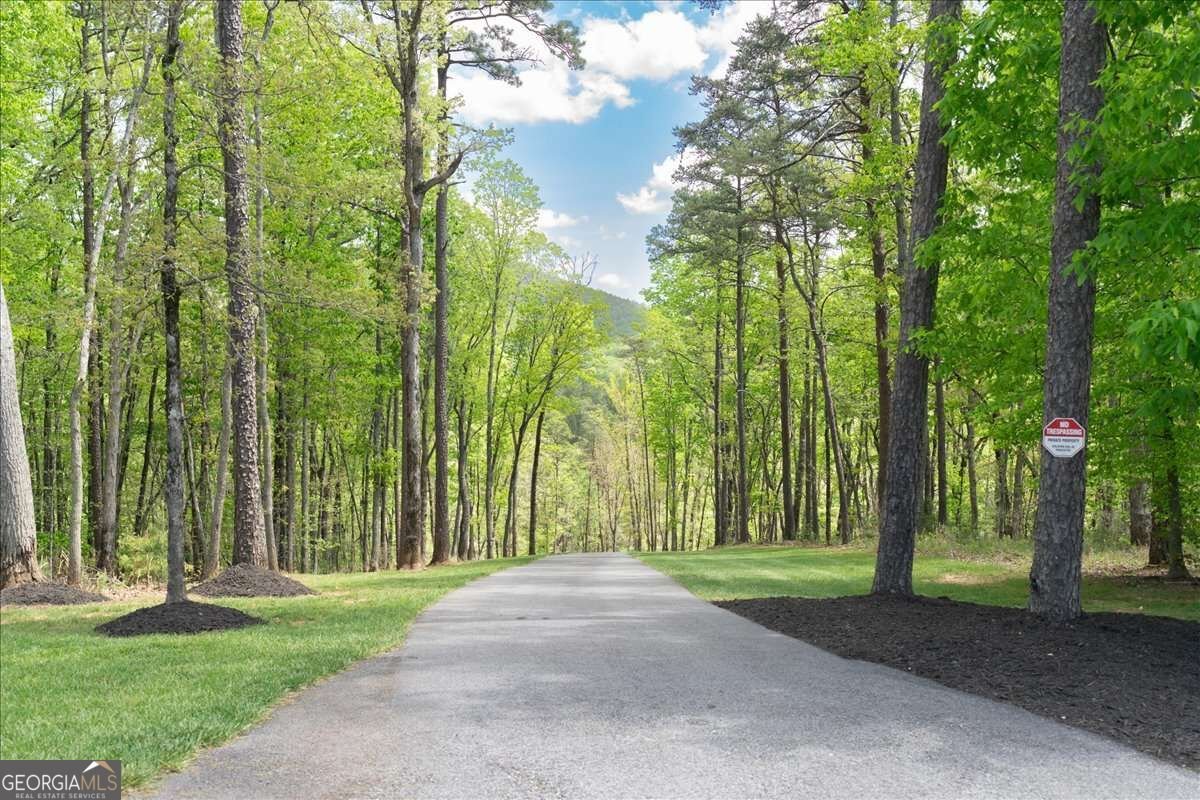 545 Cowart Mountain Road Jasper - Photo 41