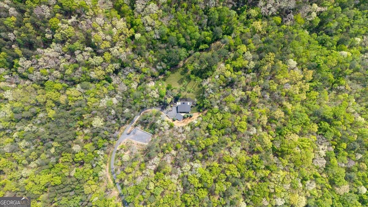 545 Cowart Mountain Road Jasper - Photo 43