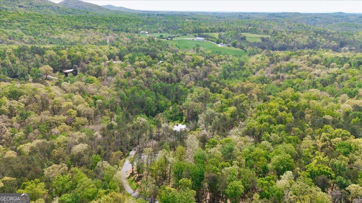 545 Cowart Mountain Road Jasper - Photo 44