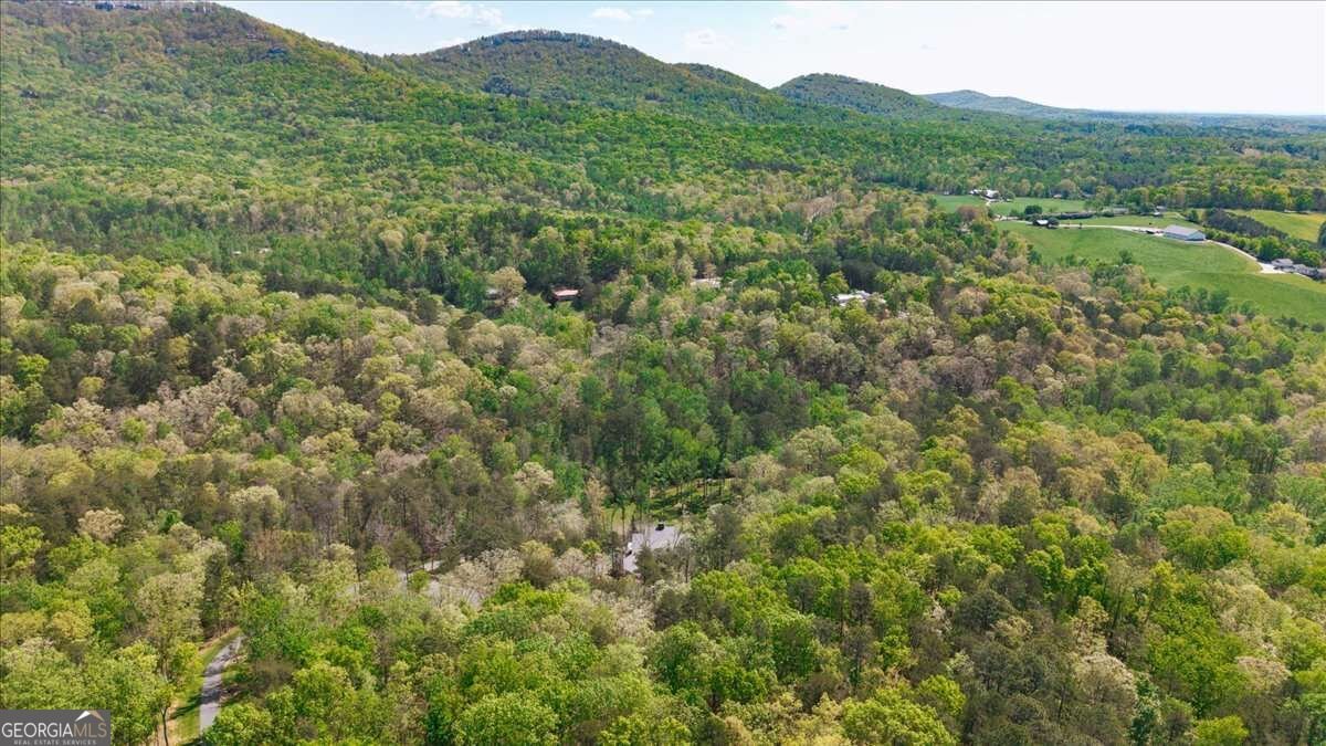 545 Cowart Mountain Road Jasper - Photo 45
