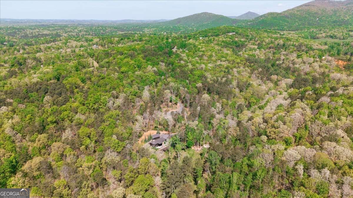 545 Cowart Mountain Road Jasper - Photo 46