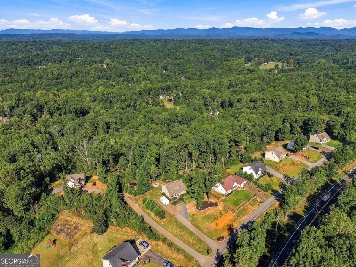 120 Camp Drive Dahlonega - Photo 44