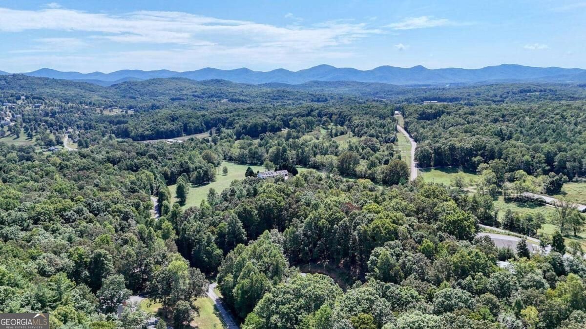90 Paul Nicholson Road Blairsville - Photo 58