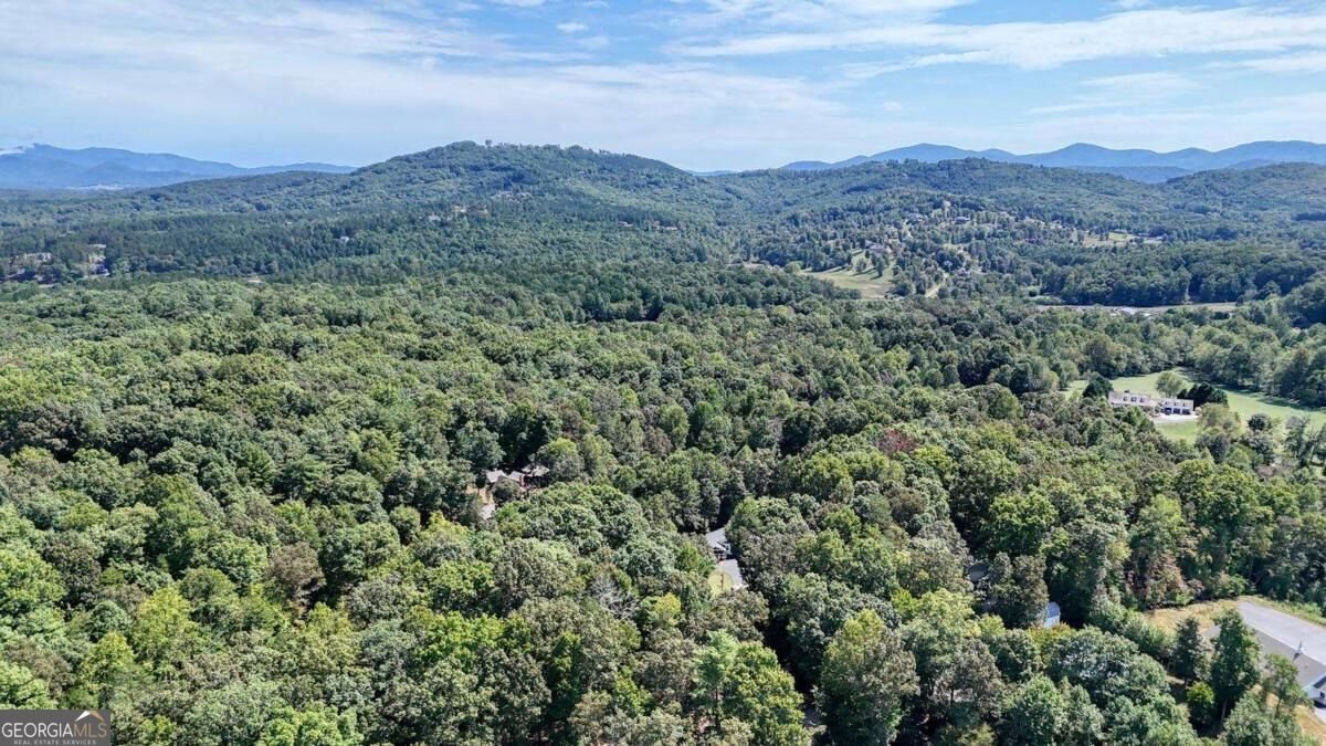 90 Paul Nicholson Road Blairsville - Photo 59