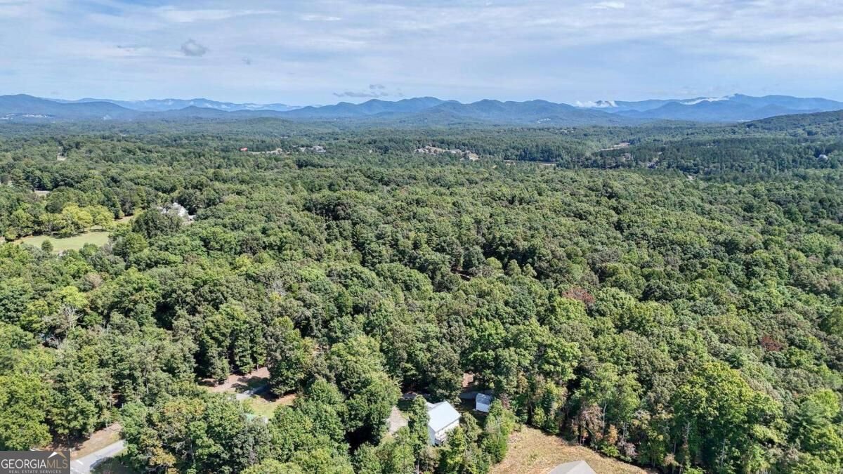 90 Paul Nicholson Road Blairsville - Photo 60