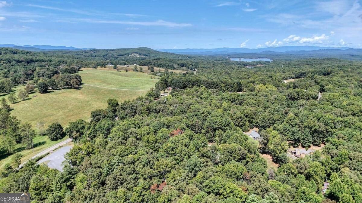 90 Paul Nicholson Road Blairsville - Photo 61