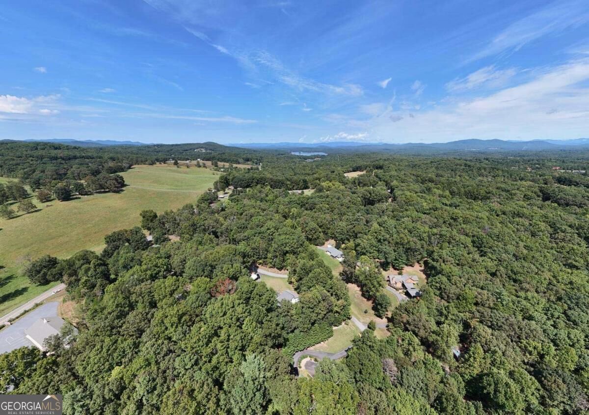 90 Paul Nicholson Road Blairsville - Photo 62