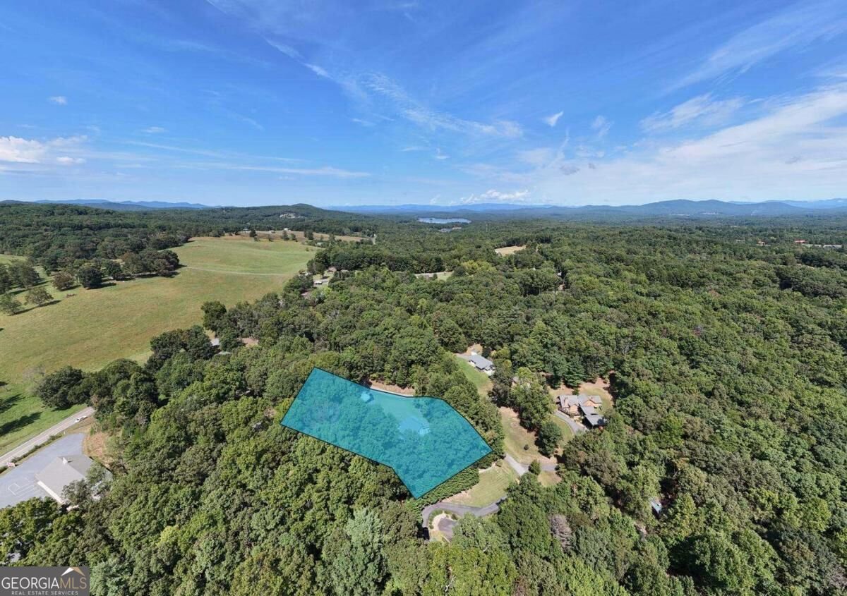 90 Paul Nicholson Road Blairsville - Photo 63