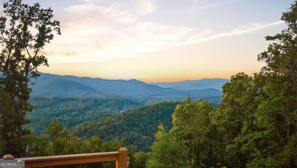 633 Wilderness Way Blue Ridge - Photo 34